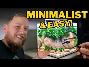 Perfect Modern Aquarium Setup for Fancy Endlers Guppies. (Aquascape step by step setup)