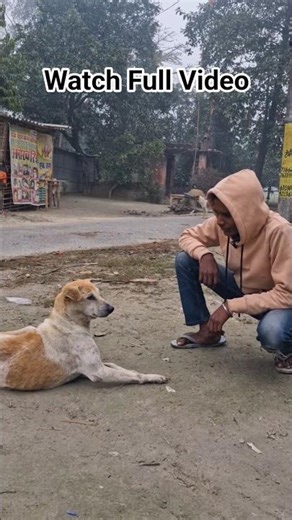 Dog Prank 🤣😂 #prankvideo #funny #comedy #shorts #viral #realfools