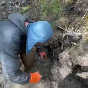 Ww2 relic hunting A finding from the World War era This content is s