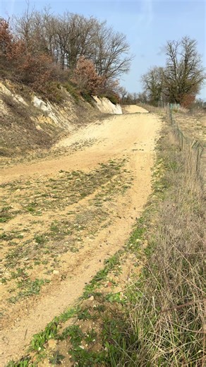 Motocross Training Insights for Enthusiasts