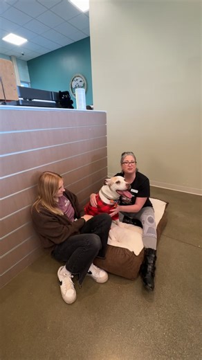 Humane Society for Hamilton County (Indiana) on Reels