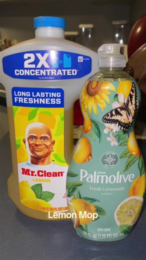 Effective Lemon Mop Cleaning Tips