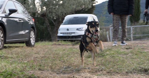 11.04.2026 | Com educar l'excitació