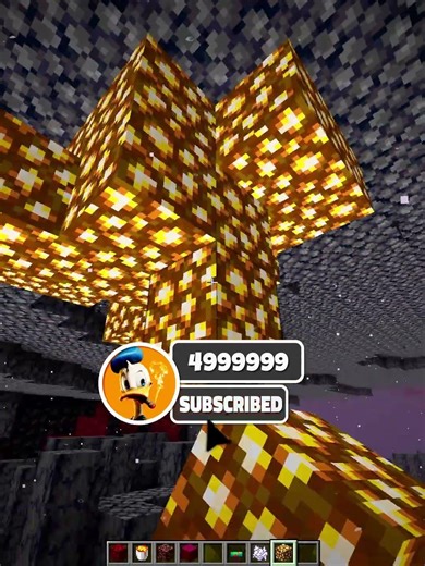 Minecraft Entering the Nether for the First Time...🤯 (World's Smallest Violin) #minecraft #shorts