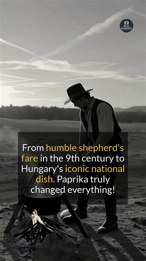 From humble origins to a national dish, goulash is a culinary journey through time. #history #foodhistory #hungarianfood #didyouknow | The Curious Side