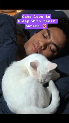 Cats love to sleep with their owners 💯😻#cats #catvideos #shortsfeed #trending