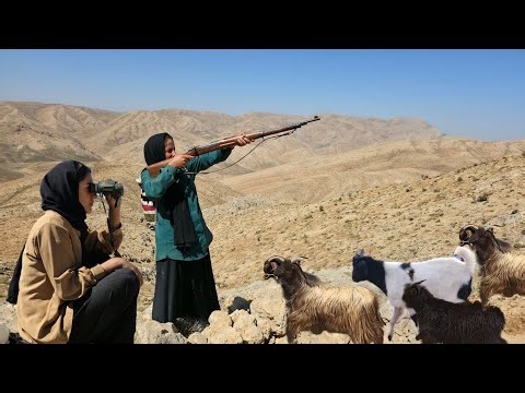 "The Crisis of Nomadic Life | Thieves Attack at Night and a Terrifying Gun Chase in the Mountains"