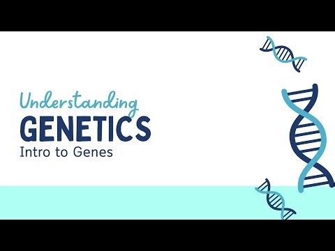 Genetics Introduction | Basics of genetics | Part 1 | IIT JAM/CUETPG