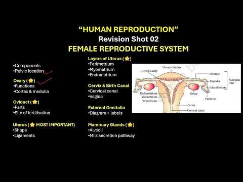 CBSE grade 12 FEMALE REPRODUCTIVE SYSTEM HUMAN REPRODUCTION 2