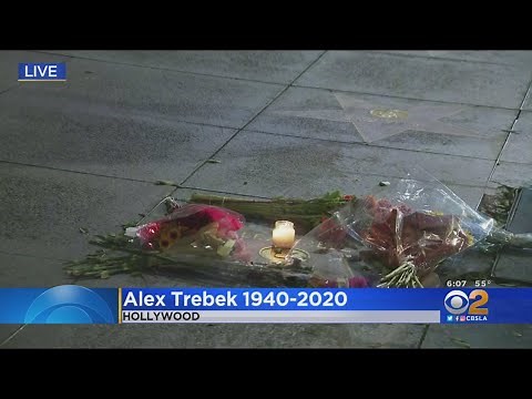 Memorial Grows At Alex Trebek's Hollywood Walk Of Fame Star