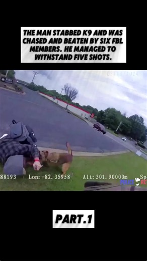 #tiktok #fyg #news | k9 mickey