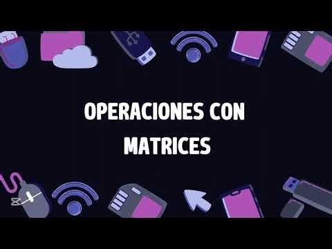 Proyecto Programación