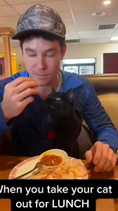 We got kicked out of the restaurant!!!🙀🍽️ #bestcatever #embarrassing #dinnerfortwo | Simon the backpacking Kitty