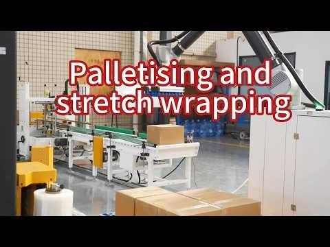 Fully Automated Packaging Line in Action | Palletizing, Wrapping, Sealing & Labeling