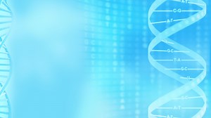 Four DNA Tests — NOVA | PBS