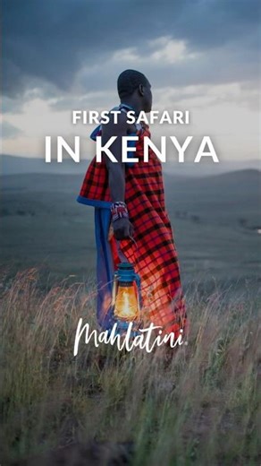 What a First Safari in Kenya Really Feels Like