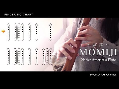 Momiji (Japanese maple) Native American Flute / Fingering chart