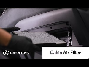 Lexus Service - Cabin Air Filter | Lexus