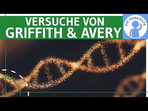 Versuche von Griffith & Avery - Entdeckung der DNA - Experiment Durchführung, Erklärung & Ergebnisse