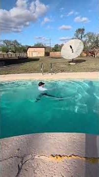 Fully Dressed Diving Board Plunge! #wam#wetlook#soaked#divingboards#comedy#funny