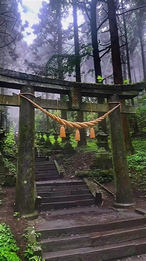 #熊本 #阿蘇 #神社 #観光 #JAPAN #beautiful #fyp