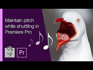 Maintain pitch while shuttling in Premiere Pro