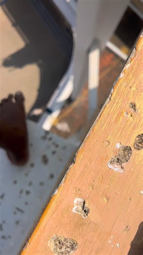 Pugal Pugal on Reels