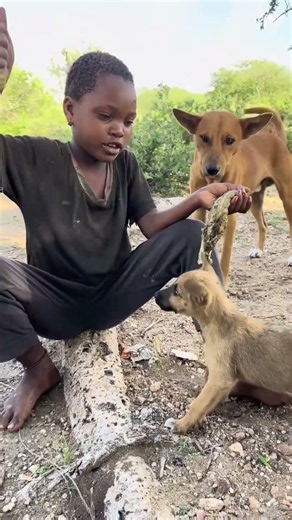 The Diet and Lifestyle of Indigenous Tribes in Africa