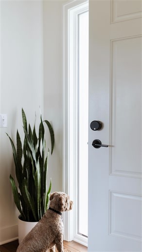 No matter where the day takes him, August Wi-Fi Smart Lock makes @brycebedinger’s routine all the more streamlined. Whether he’s working from home, hanging out with friends, or out and about, he’s able to control the door from anywhere using the August Home App™ and has extra peace of mind thanks to Auto-Lock. “I love that we don’t have to worry or wonder whether or not our door is locked when we leave, even for things like taking our pup Boba for walks. 😊” | August Home