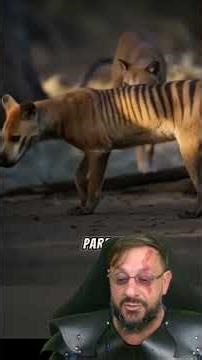 Latest images of extinct animals @DNA.SELVAGEM #biologohenrique #animals #smartanimals #biologist