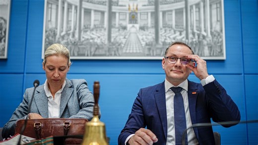 Allemagne : l'AfD classée comme parti d'extrême droite par l'agence nationale de renseignement