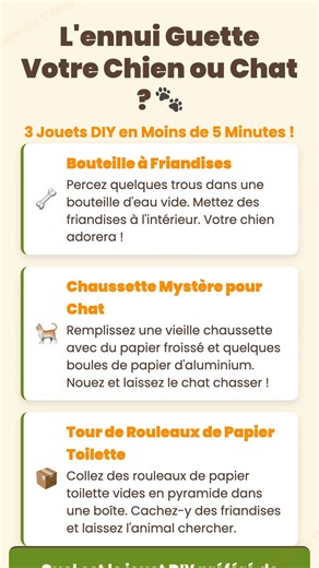L'ennui Guette ? 🐾 3 Jouets DIY pour Animaux en 5 Min ! | META_DESIGN_...