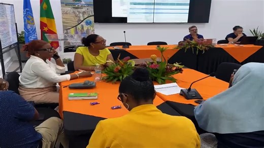 Ministry of Health 'Maps' to Enhance | GIS Grenada