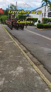MBC Class 507th, 508th, 509th Marching going to Grandstand for their graduations exercise. | Buhay Sundalo