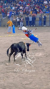 Payasito Tingo Tango en acción. | Sr Chagra