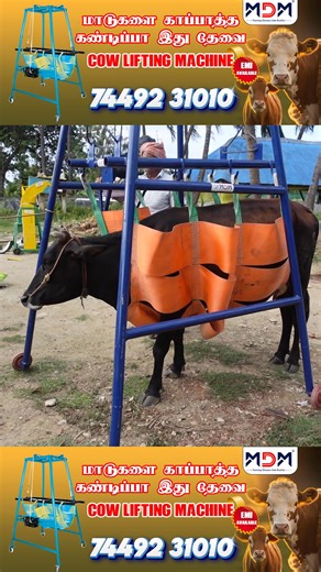 1K views | Cow Lifting #farmlife #cowdungcollecter #cowlifting #CowMat #reels ##vivasayam (Tamil for “agriculture”) Best Hashtags #tamilnaduagriculture #agriculture #farming #farmers #farmlife #organicfarming #agriculturelife #farm #farmer #farmland | Modern Dairy Machines | Facebook