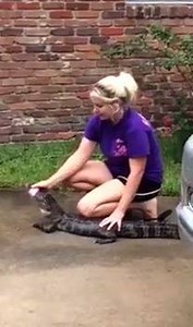 1.3M views · 3.9K reactions | WATCH OUT FOR GATORS, Y'ALL: Yup, this...