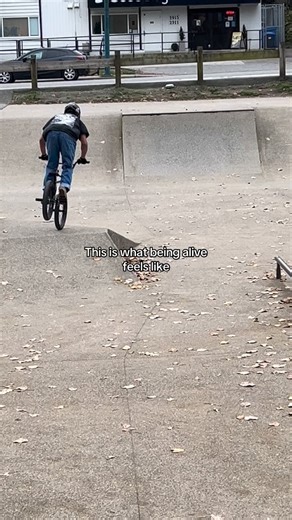 Follow the brand | buzzed