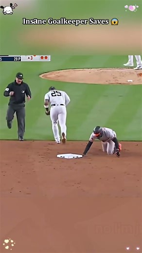 Epic baseball Catch compilation #baseball #baseballboys #funnyvideo #love #funny