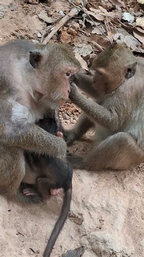 #MustWatch #TooCute #DailyDoseOfCuteness #MadeMyDay #AnimalsOfYouTube #HappyVibes #AdorableAnimals #
