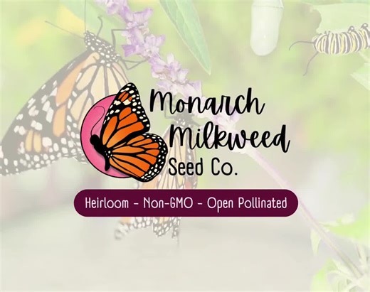 BEGINNER FLOWERS Seed Bundle | 12 Unique Seed Packets, Easy-to-grow Variety Pack for New Gardeners or Kids, Pollinator Flower Gardening - Etsy