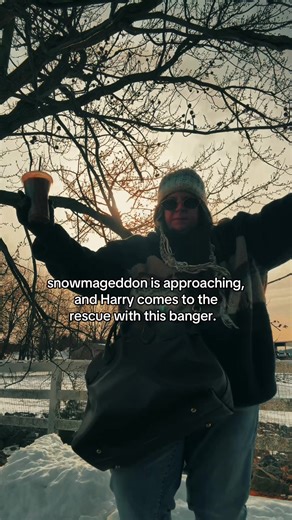 I have the essentials. Are you ready for the storm? #hs4 #harrystyles #snowmageddon #harrystylesvids #fyp