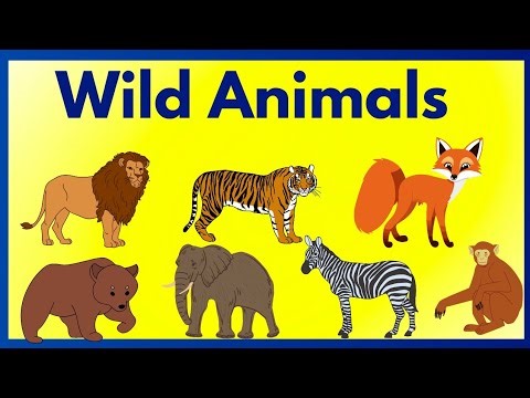 "Wild Animals for kids | Lion, Tiger, Elephant and more. " 🐘🐅🦓🐃🦏