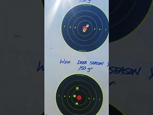 Savage 308 ammo choice