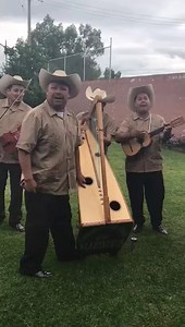 51K views · 759 reactions | El grupo de arpa grande los marineros de Tepalcatepec, interpretando un bonito son con tamboreado. Saludos amigos buenos días | Apatzingán y sus noticias a diario | Facebook