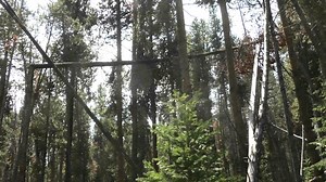 The Unseen World | Colorado Bigfoot