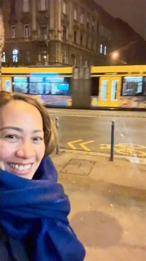 A night walk in Budapest. #travel #holidayseason #hungary #cityatnight ✨🇭🇺👑🎄