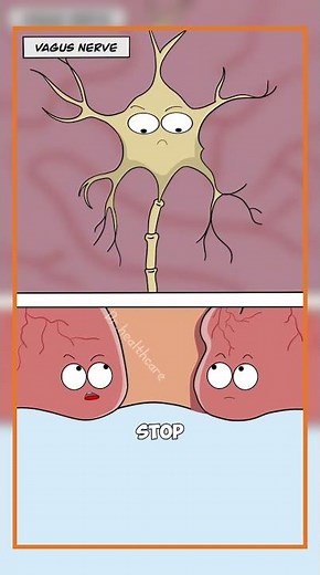 Why pooping makes you cry #shorts