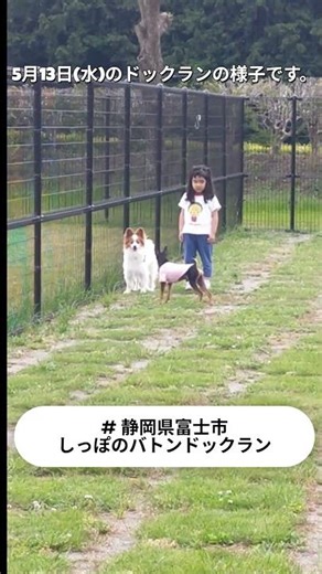 #しっぽのバトンドックラン