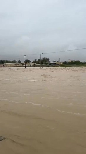 Too Funny 🤣🤣🤣🤣 | Too Funny